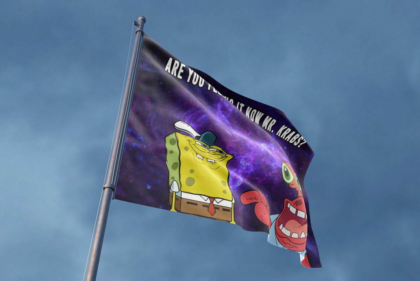 Are you feeling now Mr. Krabs rave flag