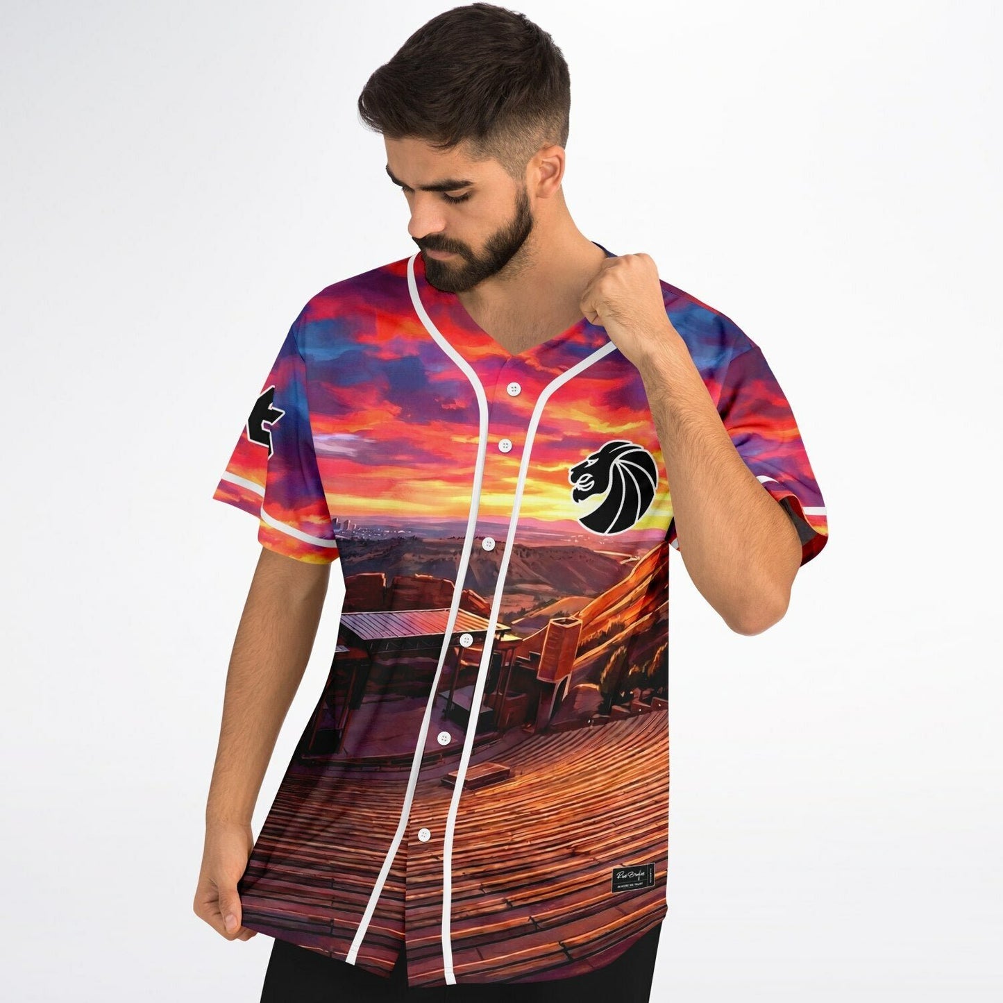 Robin custom Baseball Jersey