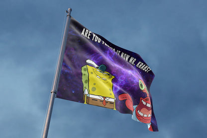 Are you feeling now Mr. Krabs rave flag