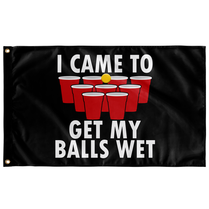 I CAME TO GET MY BALLS WET FLAG