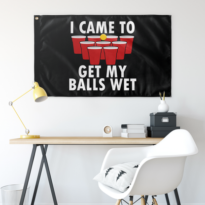 I CAME TO GET MY BALLS WET FLAG