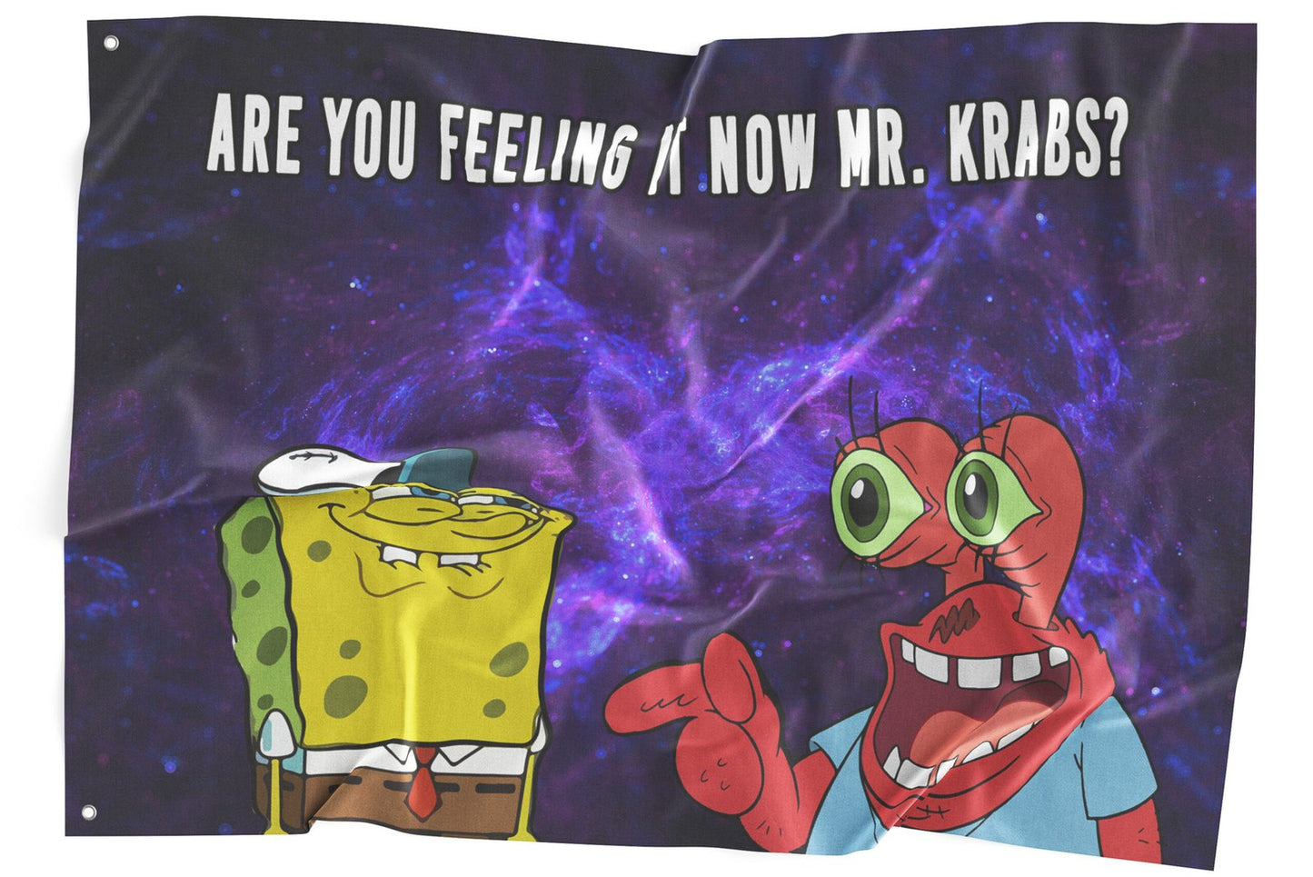 Are you feeling now Mr. Krabs rave flag
